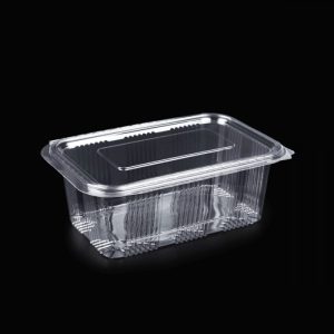 Caserole Plastic cu Capac Plat, 1000 g, set 100